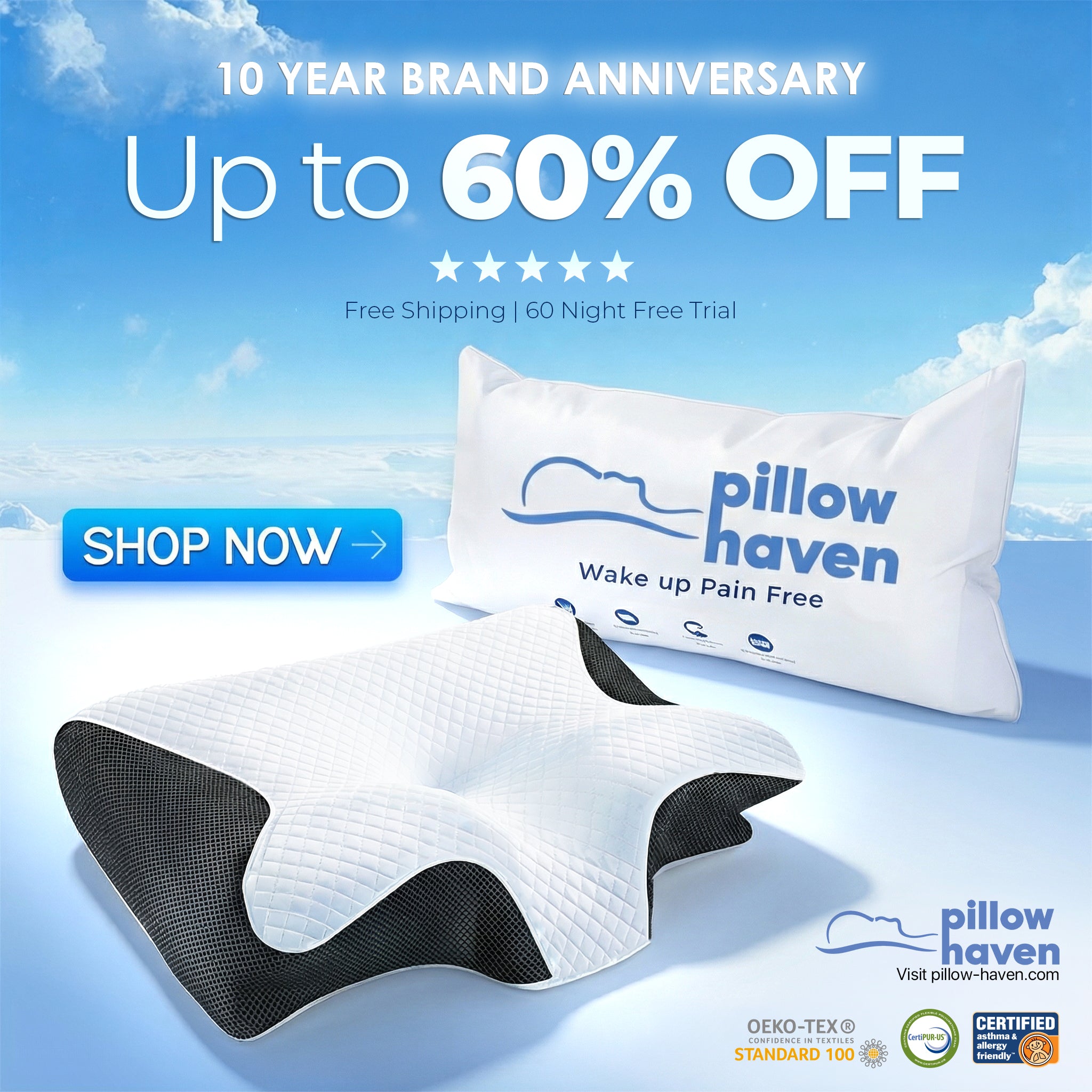 Premium Contour Relief Pillow™ | 10-Year Brand Sale 60% OFF