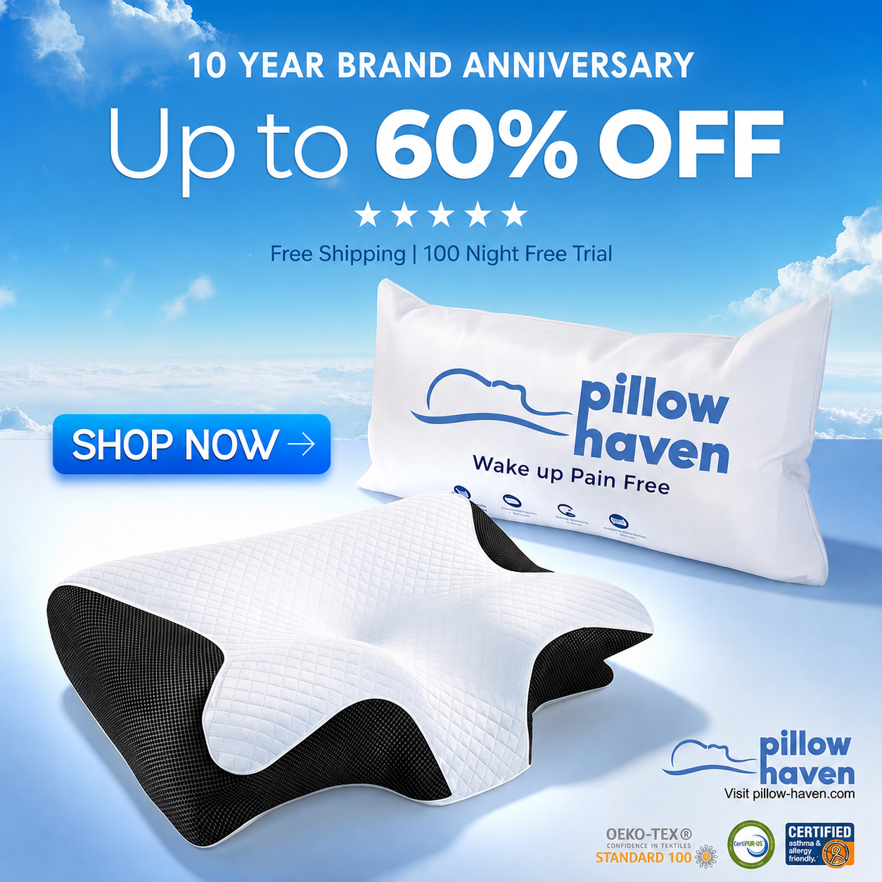 The Pillow That Ends Neck Pain - By Fixing Your Sleep Posture | 10 Year Sale 60% OFF
