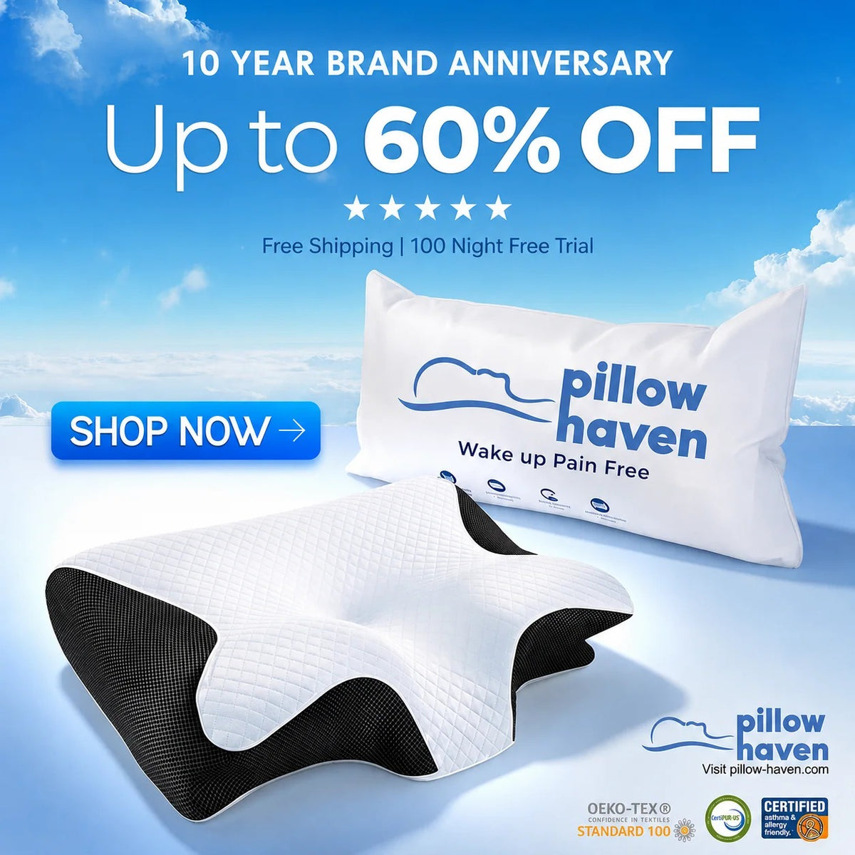 The Pillow That Ends Neck Pain - By Fixing Your Sleep Posture | Anniversary Sale 60% OFF