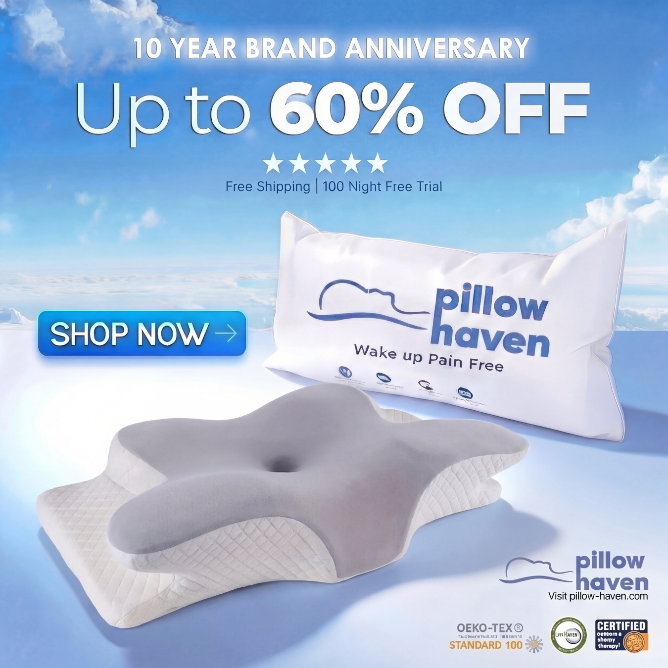 Relief Pillow 2.0 – Upgraded for Maximum Pain Relief and Support | 10 Year Brand Sale 60% OFF
