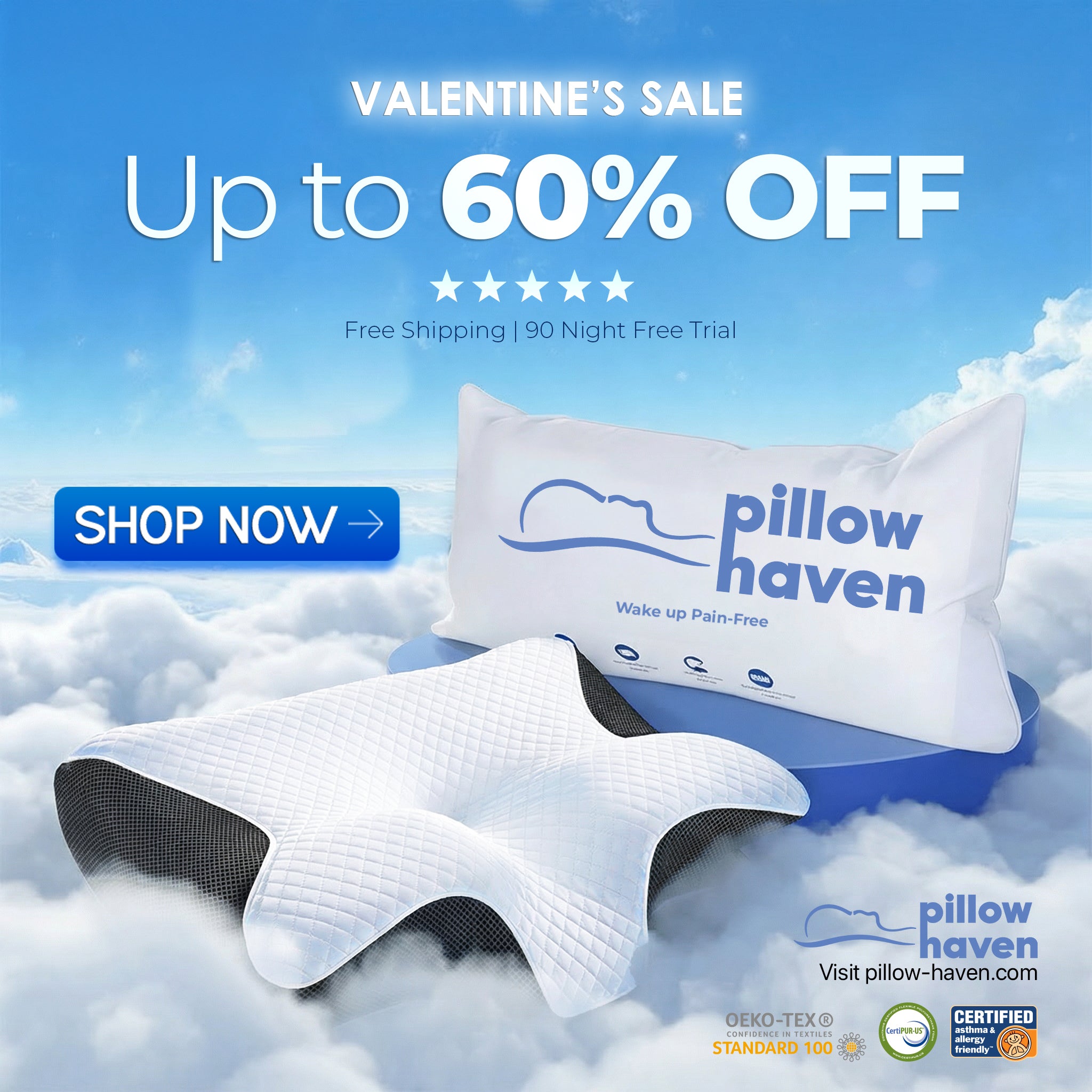 Premium Pain Relief Pillow™ | Valentine's Day Sale
